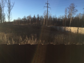 В городе Ельце происходит уничтожение парка 40-летия Октября!