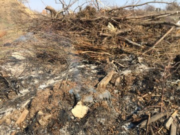 В Елецком районе обнаружена большая несанкционированная свалка мусора!