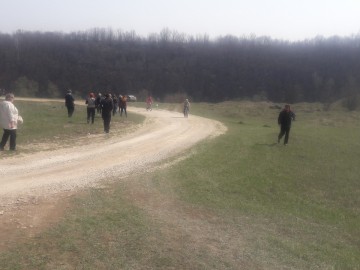 Фестиваль «На высоте»