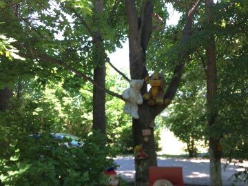 Почему в микрорайоне Новые Дома разбитые дороги и тротуары?!