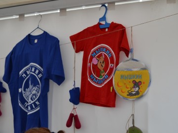 V Фестиваль малых городов России