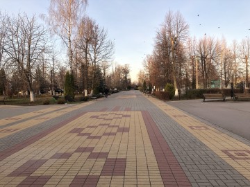 Особенности деятельности Городского парка города Ельца