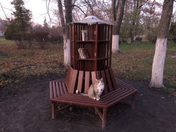 Особенности деятельности Городского парка города Ельца