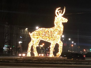 Елец украсили к Новому году!