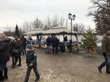 Новогодняя шоу-программа в парке Железнодорожников