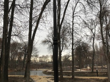 В Петровском парке вовсю кипит работа по благоустройству!