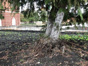 Общественность Ельца требует наказать ответственных и виновных лиц и привлечь их к уголовной ответственности!