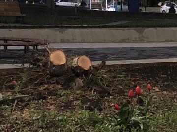 Общественность Ельца требует наказать ответственных и виновных лиц и привлечь их к уголовной ответственности!