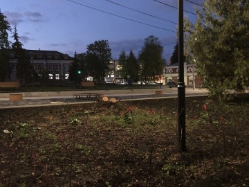 Общественность Ельца требует наказать ответственных и виновных лиц и привлечь их к уголовной ответственности!