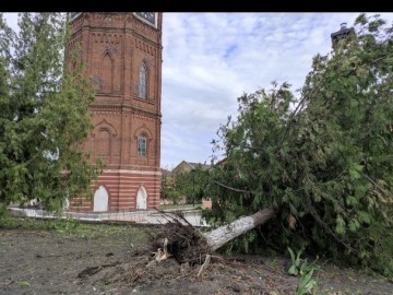 Общественность Ельца требует наказать ответственных и виновных лиц и привлечь их к уголовной ответственности!