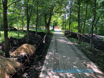 Какой ужас сейчас творится в сквере Комсомольцев в Ельце!