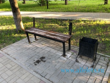 Сквер Харченко в Ельце превратился в опасный объект благоустройства