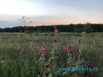 Микрорайон Московский в Ельце - беспомощность местной власти!