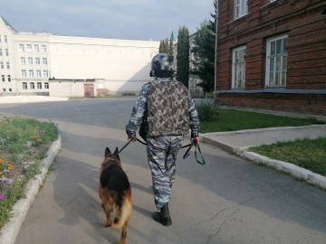 Учения перед выборами 2021