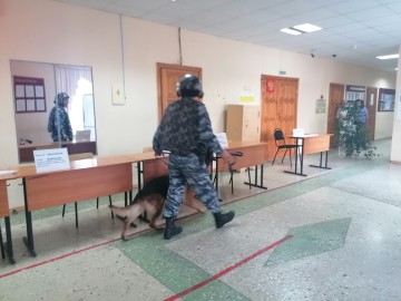 Учения перед выборами 2021