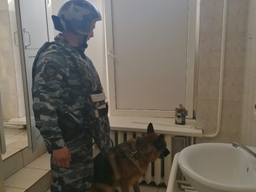 Учения перед выборами 2021