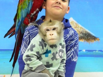 Дом экзотических животных 