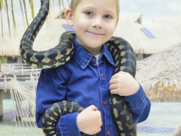 Дом экзотических животных 