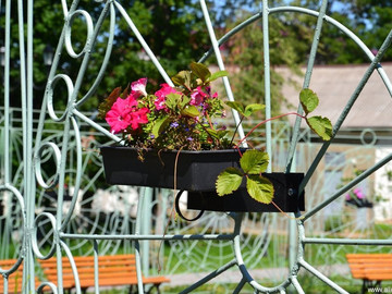 Городской парк