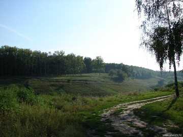 Парк Сорокалетия Октября