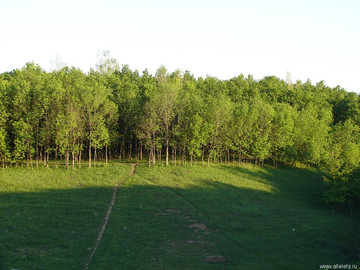 Парк Сорокалетия Октября