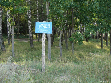 Парк Сорокалетия Октября