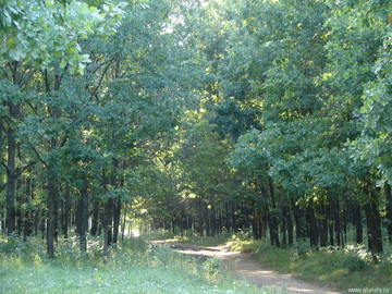 Парк Сорокалетия Октября