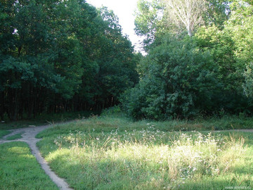 Парк Сорокалетия Октября