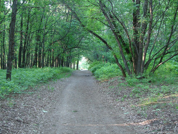 Парк Сорокалетия Октября