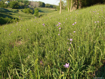 Парк Сорокалетия Октября