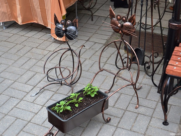 Русская закваска - 2016