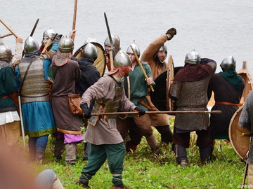 Ладейное поле - 2016