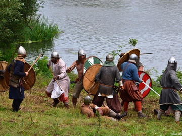 Ладейное поле - 2016