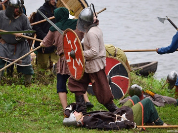 Ладейное поле - 2016