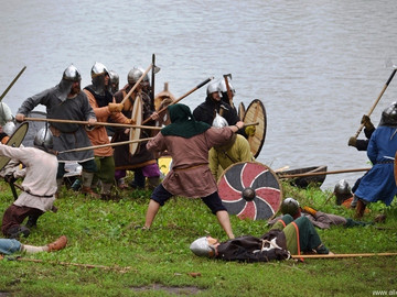 Ладейное поле - 2016