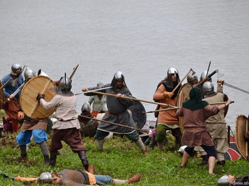 Ладейное поле - 2016