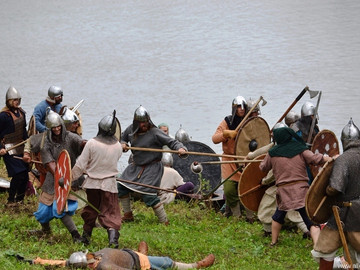 Ладейное поле - 2016