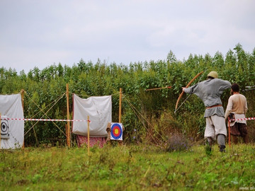 Ладейное поле - 2016
