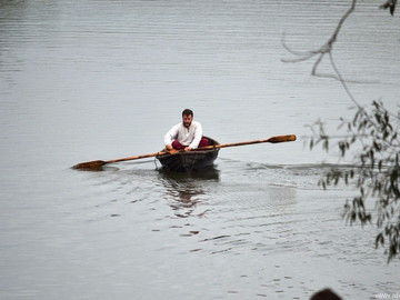 Ладейное поле - 2016