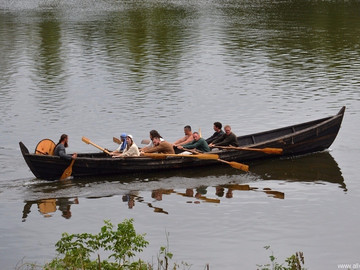 Ладейное поле - 2016
