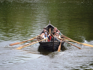 Ладейное поле - 2016