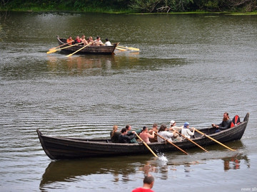 Ладейное поле - 2016
