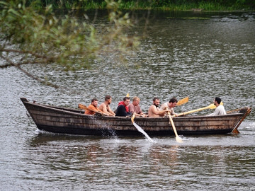 Ладейное поле - 2016