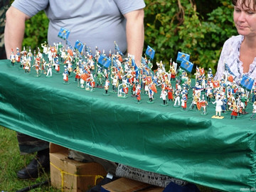 Ладейное поле - 2016