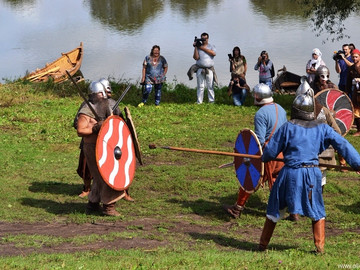 Ладейное поле - 2016