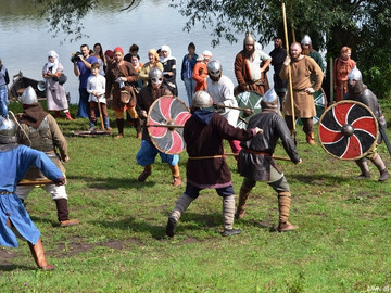 Ладейное поле - 2016