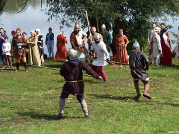 Ладейное поле - 2016