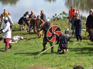 Ладейное поле - 2016
