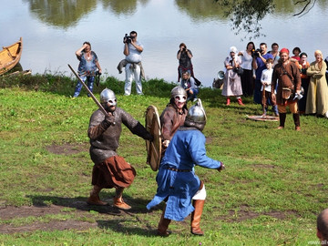 Ладейное поле - 2016