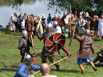 Ладейное поле - 2016